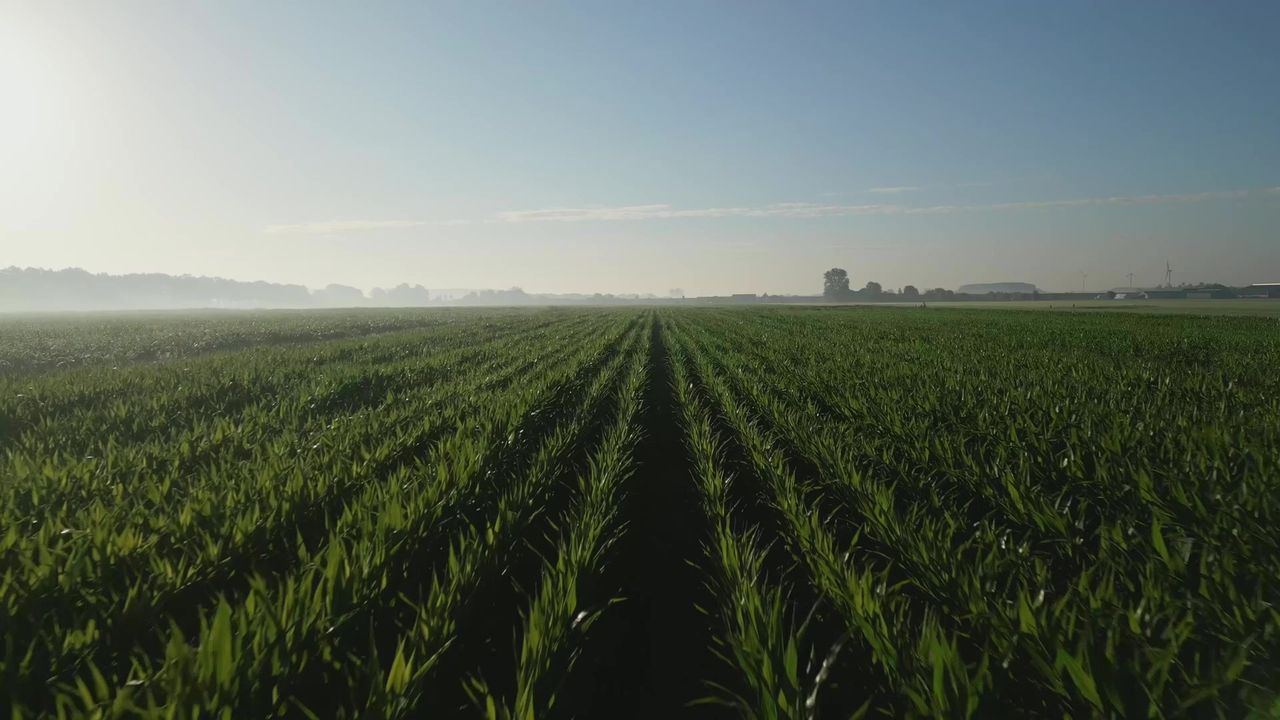 De polder rond Everdingen in avondlicht